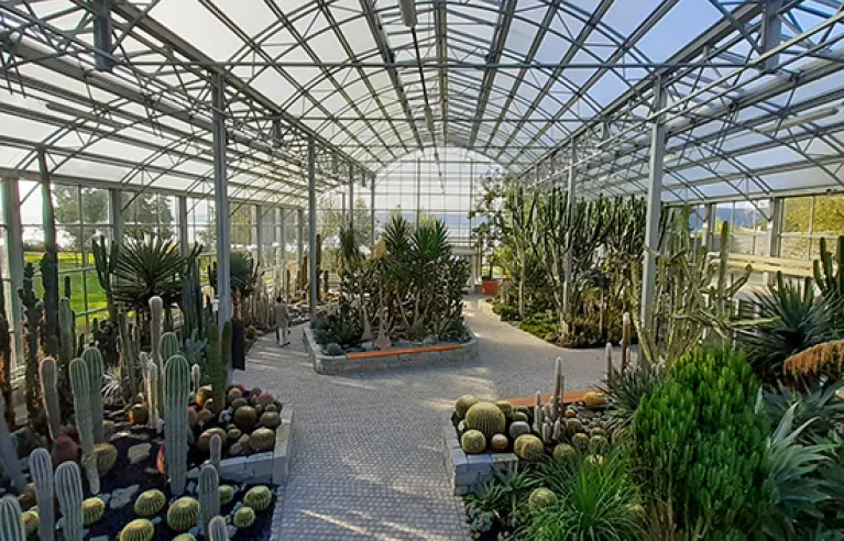 Kakteen-Wintergarten in Überlingen