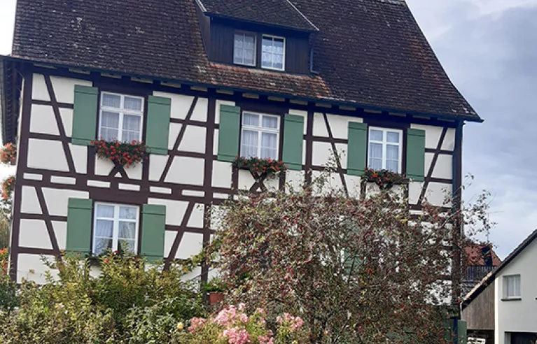Reichenau